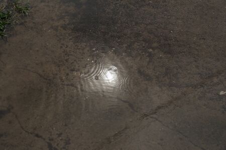 Reflections from water  after rainingの写真素材