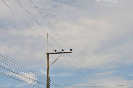 electric pole with blue skyの写真素材