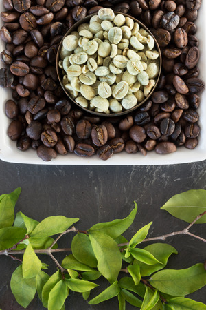 raw and roasted coffee beansの写真素材