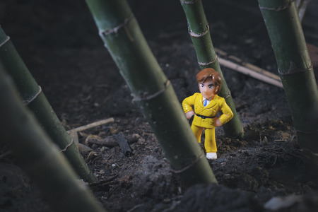 miniature man in the forestの写真素材