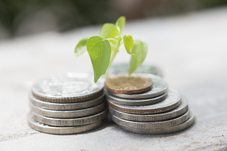 plant and coins