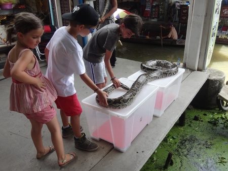 Snake show at Damnoen Saduak Floating Market, Thailandのeditorial素材