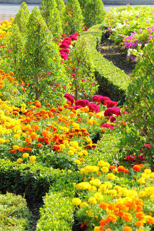 flower gardenの写真素材