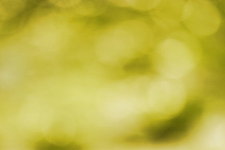 Bokeh of colorful natureの写真素材