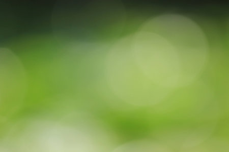 Bokeh of colorful natureの写真素材