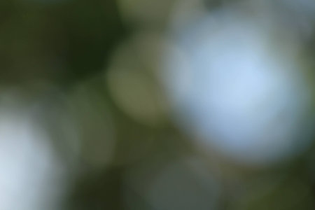 Bokehの写真素材