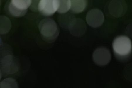 Bokeh in natureの写真素材