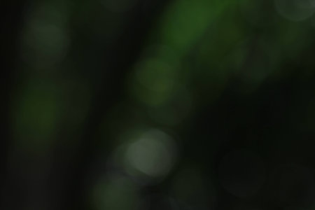 nature bokeh background blurredの写真素材