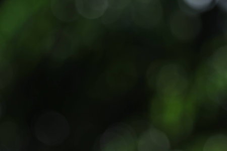 nature bokeh background blurredの写真素材