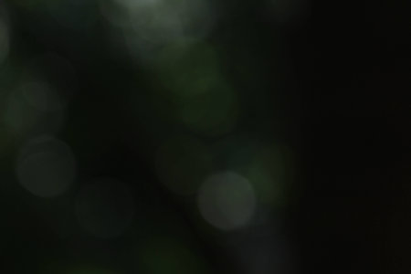 nature bokeh background blurredの写真素材