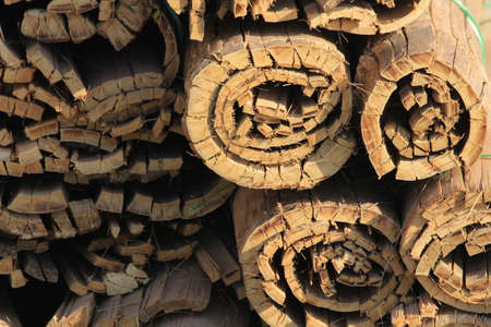 Bamboo piled on the floor