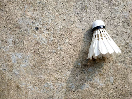 Badminton ball Put on the floor in the gymの写真素材