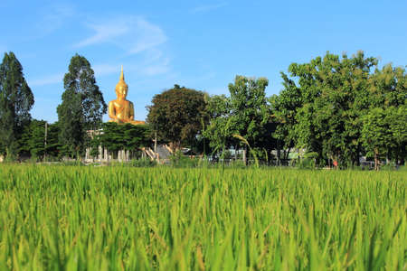 Thai temple in Thailandの写真素材