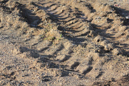 The wheel tracks on the dirt road