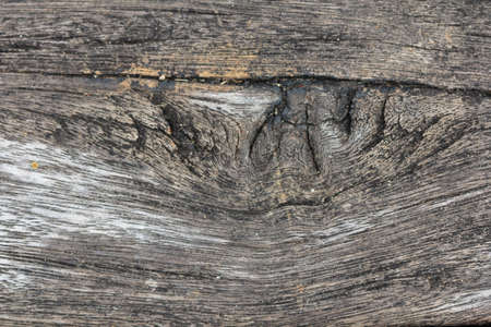texture of old woodの写真素材