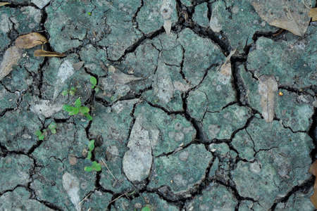 dry ground in the fieldsの写真素材