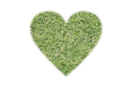 green heart on the white backgroundの写真素材
