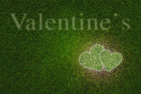 the green heart on the green backgroundの写真素材