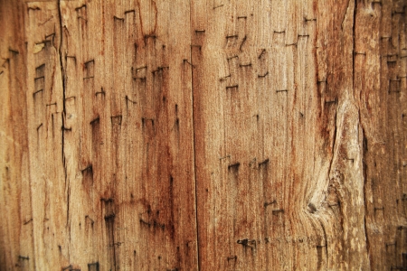 a pressed wood pieces togetherの写真素材