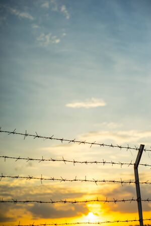 Behind the barbed wire is freedomの写真素材