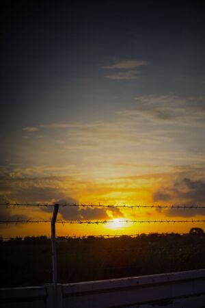 Behind the barbed wire is freedomの写真素材