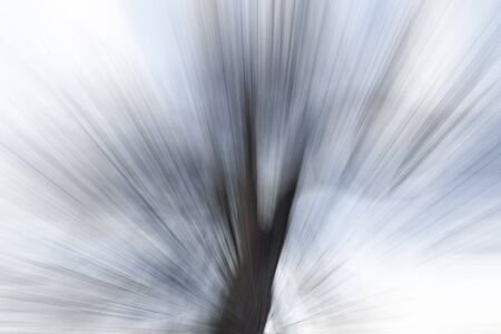 Colour beam of lightの写真素材