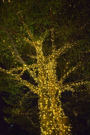 Lighting set up on christmas tree