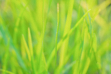 The grass in the garden and abstract backgroundの写真素材