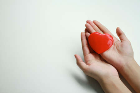 Woman holding heart on white background, top view with space for text. Donation conceptの写真素材