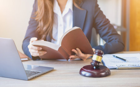 Law, Counsel, Agreement, Contract, Lawyer, Advising on litigation matters and signing contracts as a...