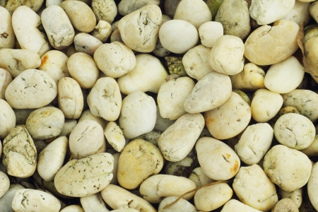 White gravel, Background の写真素材