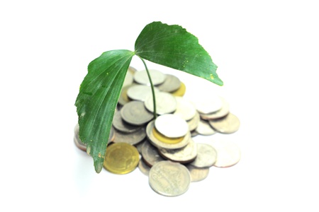 Invest for green の写真素材