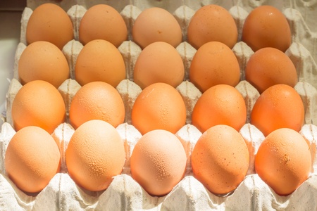 Egg in package 