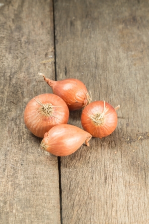 Red onion の写真素材
