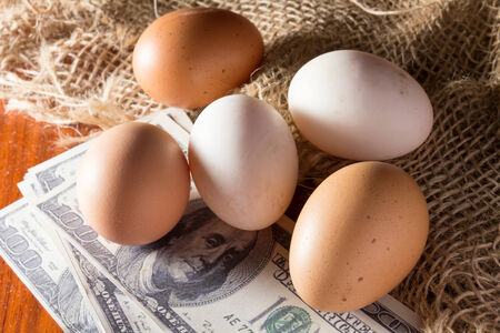 Pay money for good nutrition,business or food concept の写真素材