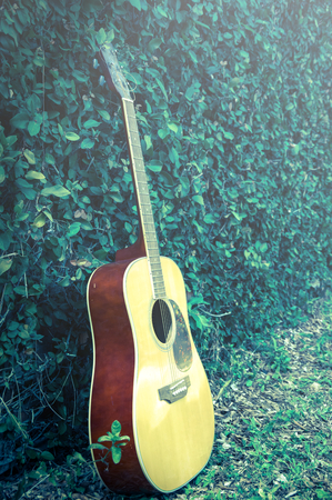 Vintage color filtered acoustic guitar in garden.の写真素材