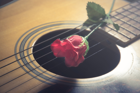 Red flower on guitar strings,vintage filtered.の写真素材