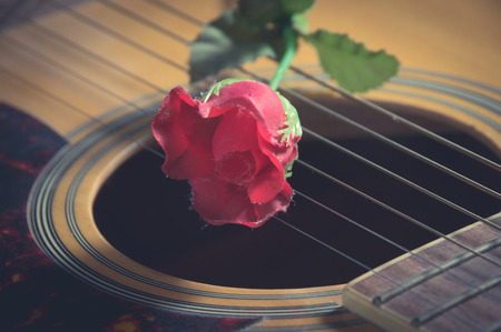 Red flower on guitar strings, vintage filtered.の写真素材