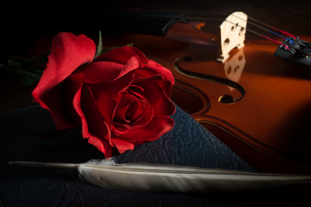Rose with feather on book and violin,still life.の写真素材