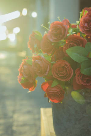 Red rose in metal bucket,vintage color filtered.の写真素材