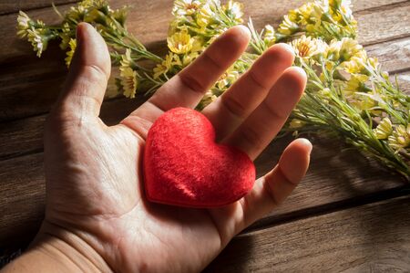 Red heart in hand with yellow flowers.の写真素材