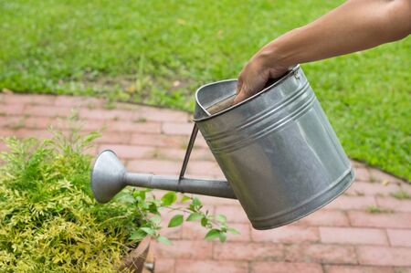 Woman using watering can, agriculture concept.の写真素材