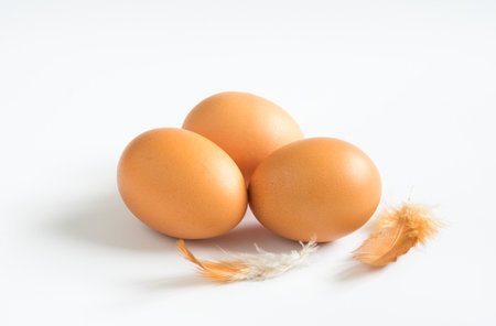 Chicken eggs with feather on white background.の写真素材