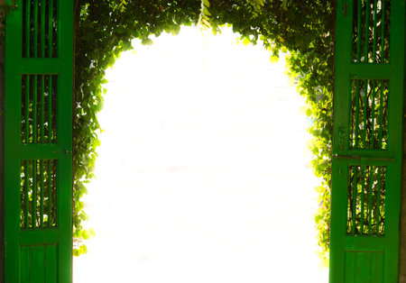 Decorative green leaf arch with wooden doors.の写真素材