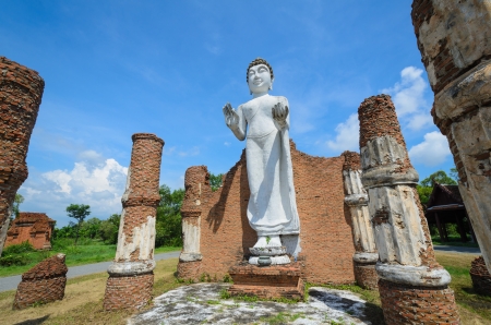Buddhaの写真素材