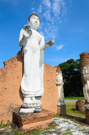 Buddhaの写真素材