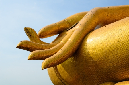 Hand of buddhaの写真素材