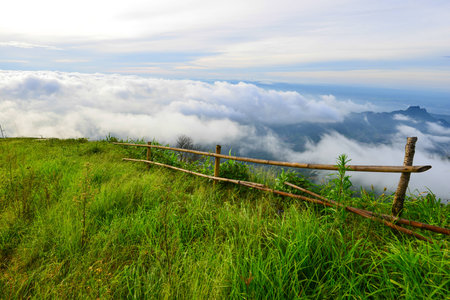 pu tubberg thailandの写真素材