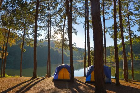 Pnag ung place in the beautiful scenery of the Thailandの写真素材