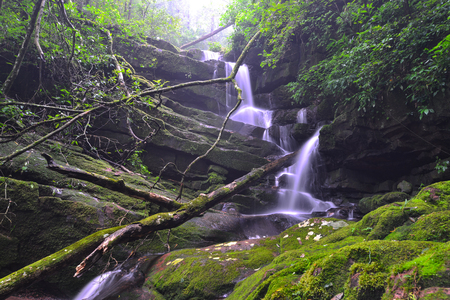 The Waterfall is a tourist  beautiful  in Thailandの写真素材